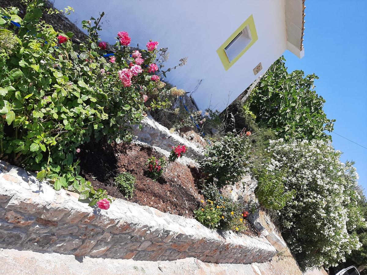 Lemon Garden 1 Villa Karidi Exterior photo